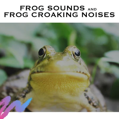 Ambient Nature White Noise/Ambient Forest/Natural SoundsFrog Sounds and Frog Croaking Noises