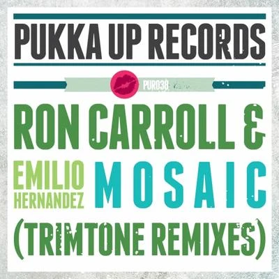 Kevin Prise/Ron Carroll/Jay C/Terry Lex/Luca Debonaire/Crazibiza/Zsak/Sante Cruze/T Markakis/Max & SimsMosaic (Trimtone Remixes)