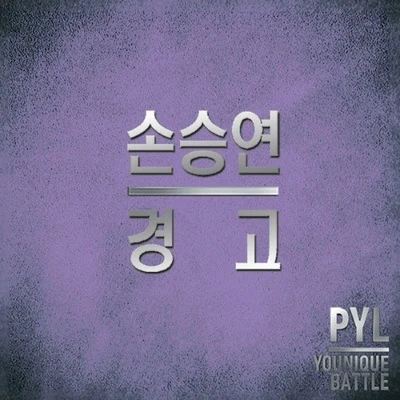 孫胜妍경고 (CF 현대자동차 PYL 배틀송)