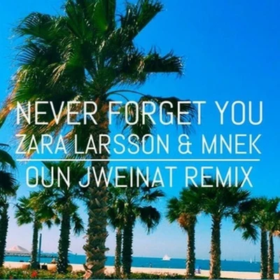 Oun JweinatNever Forget You (Oun Jweinat Remix)