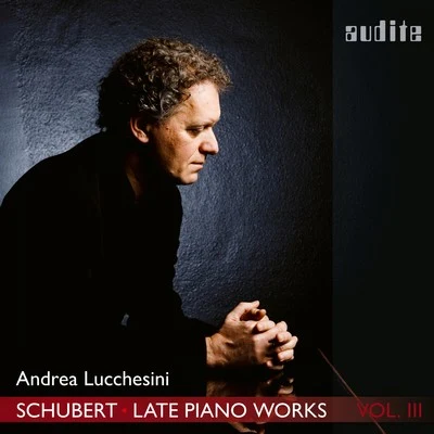 Luciano Berio/Andrea LucchesiniSchubert: Menuetto. Allegro from Piano Sonata No. 19, D. 958