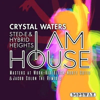 Crystal Waters/Musique BoutiqueI Am House (The Remixes)