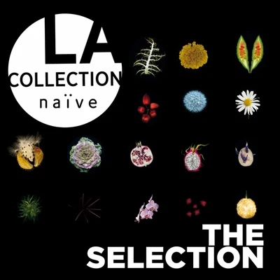 Anne GastinelLa collection naïve: The Selection