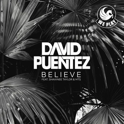 David PuentezDBNBelieve