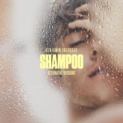 Benjamin Ingrosso/FELIX SANDMANShampoo (Alternative Versions)