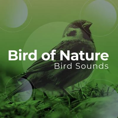 Bird SoundsBird of Nature