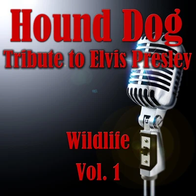 Wildlife/Yuzhakov Igor/Chris Wonderful/EMIOL/VSTGUru/Quintino & Blasterjaxx/My 7sky/Sara Pollino/Soulway One/Panna CottaHound Dog- Tribute to Elvis Presley, Vol. 1