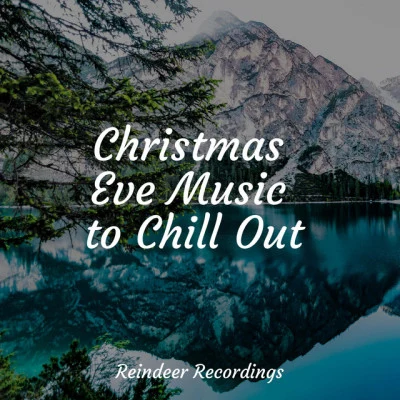 Christmas Spirit/Christmas Angels/Celtic Christmas Music CollectionChristmas Eve Music to Chill Out