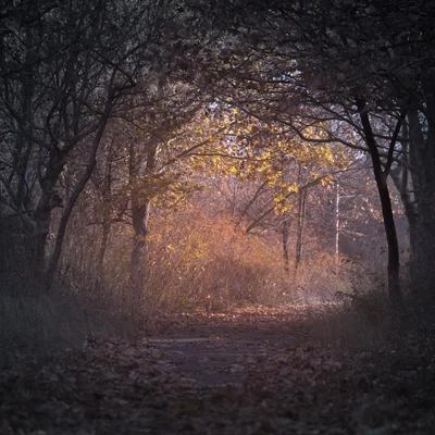 Musica Relajante Para Dormir/Lluvia PQ/Musica Relajante Specialistas65 Grabaciones de Naturaleza Relajante Para la Relajación, Natural y Tranquila