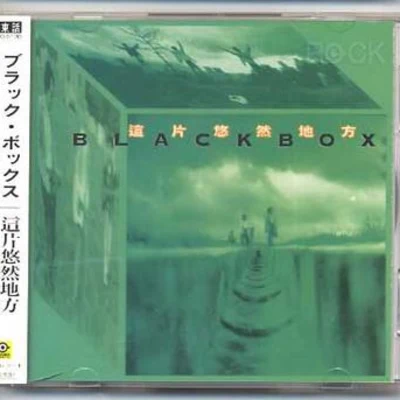 Black Box (HK)/Faithless/DNA/Shaggy/SNoW/CeCe Peniston/Deee-Lite/Vanilla Ice/Aqua/Ace of Base這片悠然地方