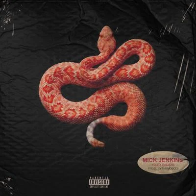 Nate Husser/Mick JenkinsSnakes (Studio)