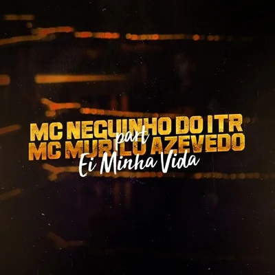 Mc Neguinho do ITR/Mc Fabinho Osk/DJ Alex BNH/Mc MR BimEi Minha Vida