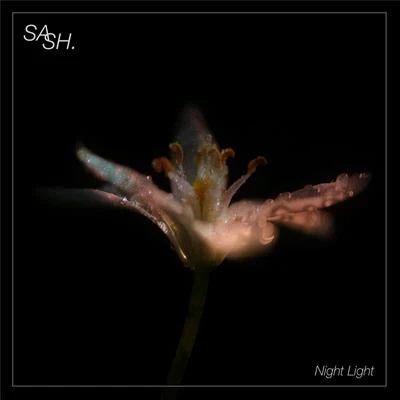 SashNight Light