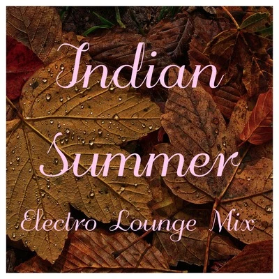 Chill Out 2016DJ Infinity NightIndian Summer Electro Lounge Mix