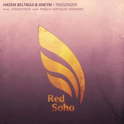 Hazem BeltaguiDenise RiveraPassengers Remixed