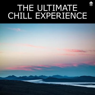 Ellena SouleThe Ultimate Chill Experience