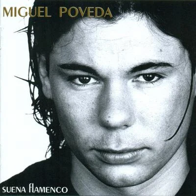 Miguel PovedaSuena Flamenco