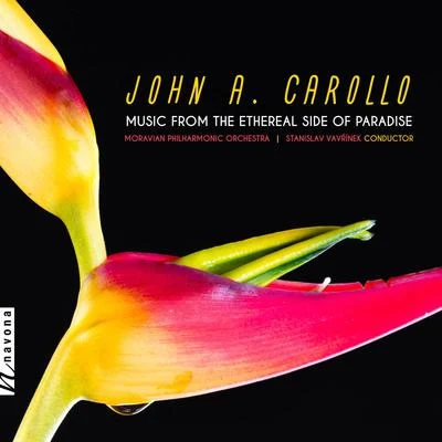 Matt GouldJohn A. Carollo: Music from the Ethereal Side of Paradise