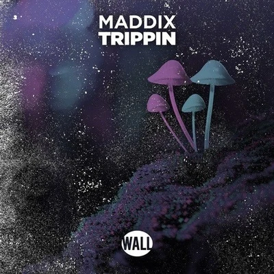 Maddix/Joey DaleTrippin