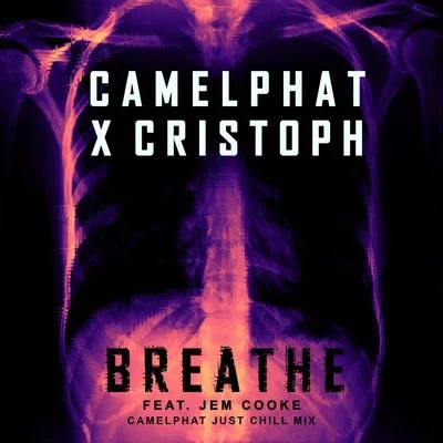 CamelPhatBreathe (CamelPhat Just Chill Mix)