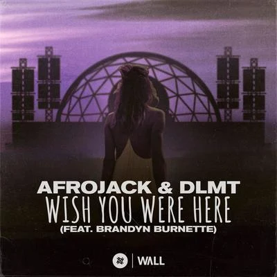 Afrojack/Sia/David GuettaWish You Were Here (feat. Brandyn Burnette)