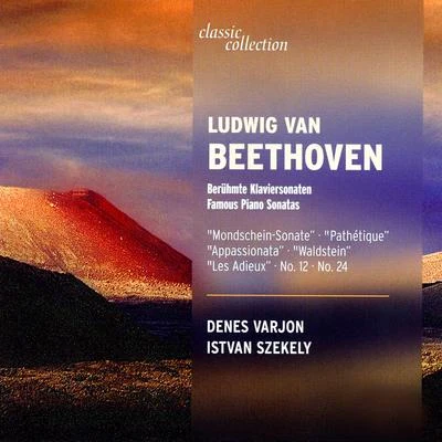 Istvan SzekelyBeethoven: Famous Piano Sonatas