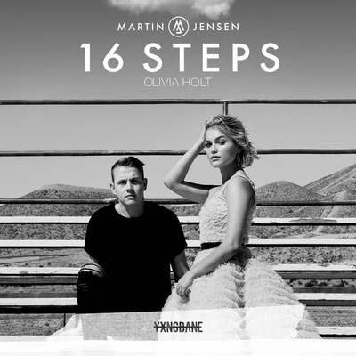 Martin Jensen16 Steps