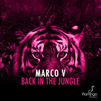 Marco VBack In The Jungle