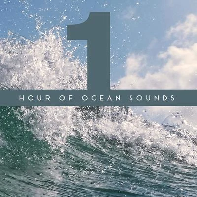 Nature Sounds Radio/Echoes Of Nature/Night Sounds1 Hour of Ocean Sounds - Collection of Majestic Wave Sounds, Perfect New Age Background for Meditation, Relaxation, Sleep and Study