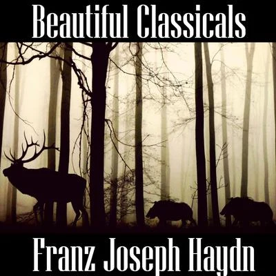 Zsolt Deàky/Franz Joseph Haydn/Nüremberg Symphony OrchestraBeautiful Classicals: Franz Joseph Haydn