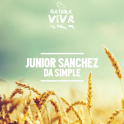 Junior SanchezDa Simple