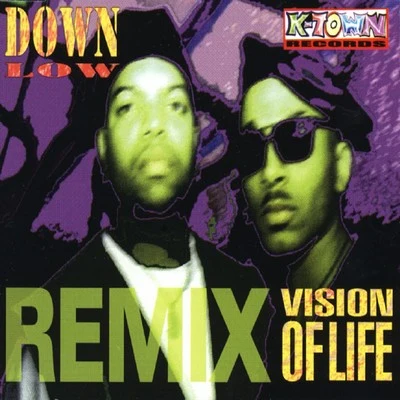 Down LowVision of Life Remix