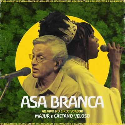 Luiz Caldas/Caetano VelosoAsa Branca (342 Amazônia ao Vivo no Circo Voador)