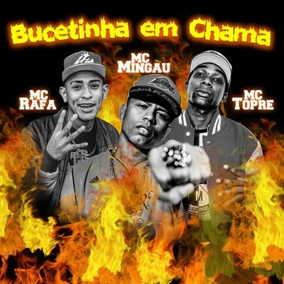 DJ RM/Mc Mingau/MC Bicho SoltoBucetinha Em Chama