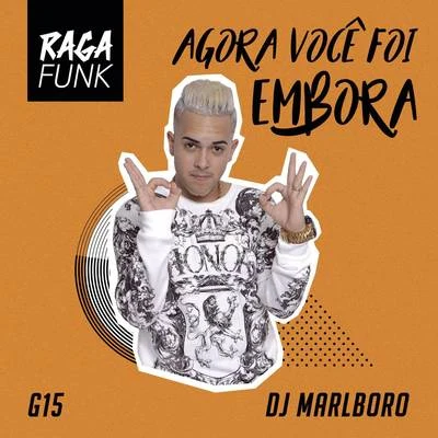 MC G15/MC LivinhoAgora Você Foi Embora