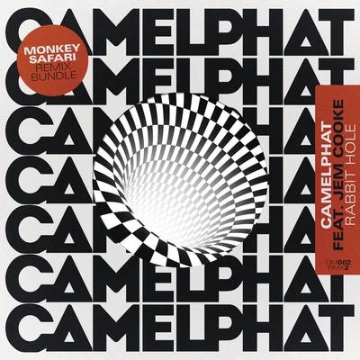 CamelPhatRabbit Hole (Monkey Safari Remixes)