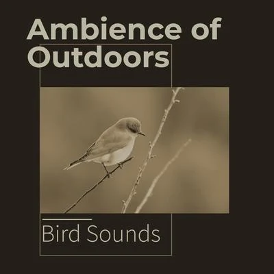 Bird SoundsAmbience of Outdoors