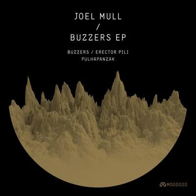 Joel Mull/Adam BeyerBuzzers EP