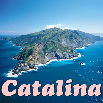 WildlifeCatalina