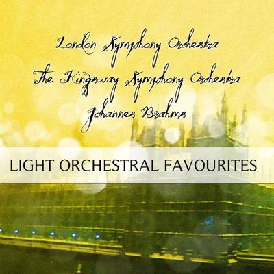 Orchesterbegleitung/Viorica Ursuleac/Clemens Krauss/Eugen Transky/Feodor Schaljapin II/Emmy Bettendorf IILight Orchestral Favourites