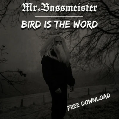 Mr. BassmeisterBird Is The Word