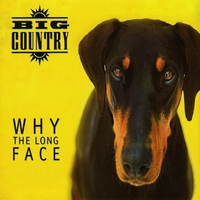 Big CountryWhy the Long Face (Bonus Tracks & Demos)