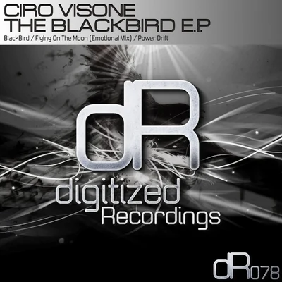 Ciro Visone/Chris Element/Andrew Henry/Alcyone Project/Jackob Rocksonn/Bukat/Second Reason/Trian/Stephane Badey/GZThe BlackBird E.P.