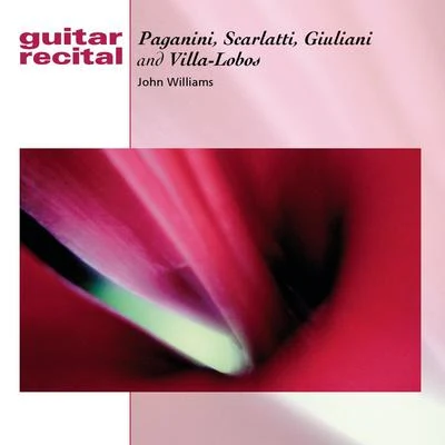 John WilliamsGuitar Recital