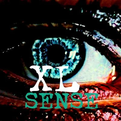 XL (阳雨露霖P)Sense