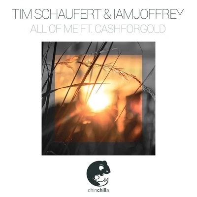 Tim SchaufertAll Of Me