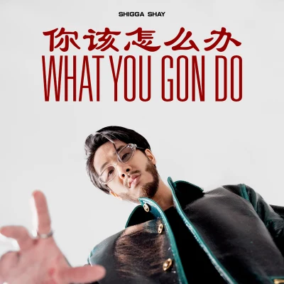 ShiGGa ShayWhat You Gon Do 你該怎麼辦