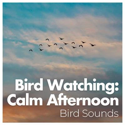 Bird SoundsBird Watching: Calm Afternoon