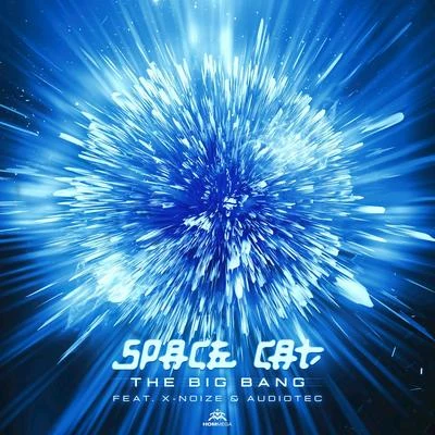 Space CatThe Big Bang