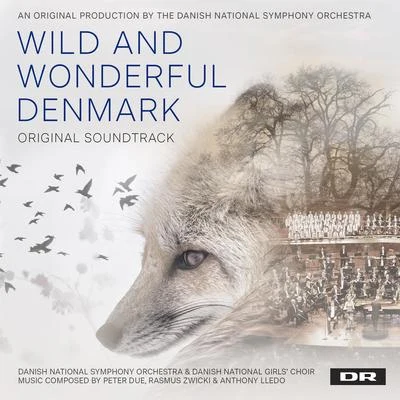 Danish National Symphony OrchestraWild and Wonderful Denmark (Music from the Original TV Series)